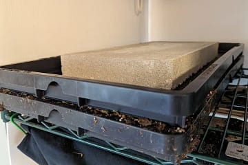 weight on paperpot trays