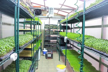food pedalers greenhouse shelves